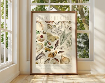 Cream Floral Botanical Print: Vintage Style Wall Art