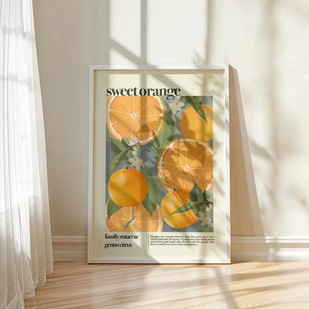 Sweet Orange Print: Botanical Still Life Wall Art - Etsy