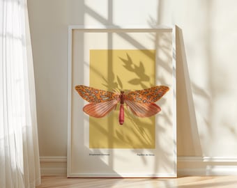 May include: A framed art print featuring a detailed illustration of a butterfly with orange and brown wings, set against a yellow background. The print includes the text "Simplement d'amuse" and "Papillon de Vénus" in a white frame.