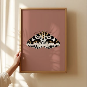 Magpie Moth Original Illustration, Moth Art Print, Insects Gallery Wall, Vintage Insect Print, Enntomological Art Print, Moth Bug Print