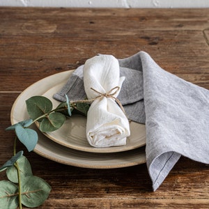 a white plate topped with a napkin next to a green plant