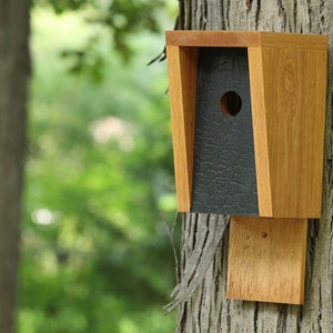 White Oak and Shou Sugi Ban Birdhouse image 10