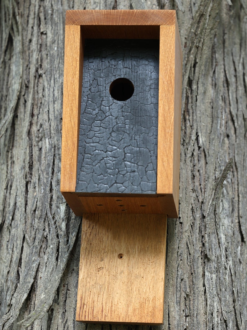 White Oak and Shou Sugi Ban Birdhouse image 8