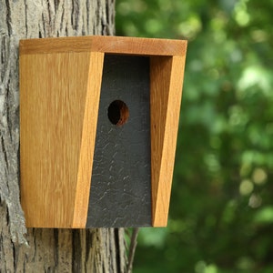 White Oak and Shou Sugi Ban Birdhouse