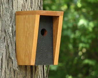 May include: A wooden birdhouse with a black interior and a round entrance hole. The birdhouse is mounted on a tree trunk.