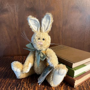 May include: A beige plush bunny rabbit with long ears and a green ribbon around its neck. The bunny is sitting on a wooden surface with a stack of books behind it.