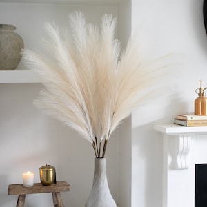 Large Feather Vase -  UK