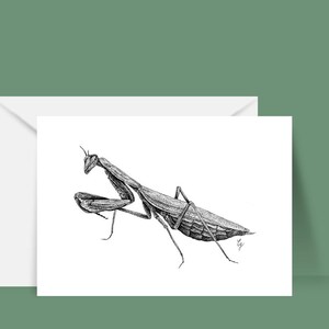 Carte postale "Mante religieuse"