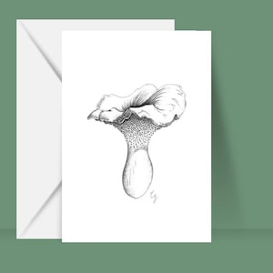Carte postale « Pieds de mouton »