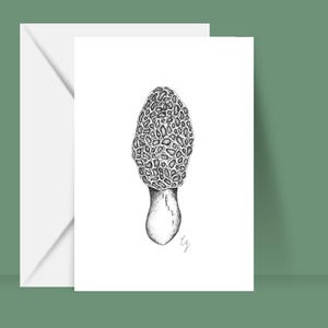 Postcard “Morel”