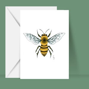 Carte postale « Abeille »