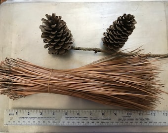 Half Pound Tin Roof Treasure Naturally Dried Eastern Pine Needles