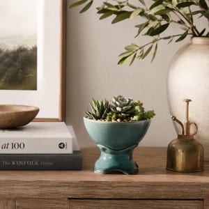 Peut inclure: Un pot de fleurs sur pied en céramique bleu sarcelle contenant une variété de petites plantes succulentes vertes. Le pot présente une finition lisse et brillante, une forme de bol large et arrondi sur une base robuste et évasée.