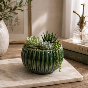 Peut inclure: Un pot en céramique vert foncé de forme ronde avec une texture côtelée verticale contenant plusieurs petites plantes succulentes, dont une echeveria vert clair, une haworthia pointue et une plante collier de perles aux petites billes vertes.