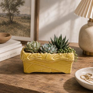 May include: A rectangular yellow ceramic planter with a textured bamboo-like surface design. The planter holds three distinct succulent plants, including a pale green rosette, a blue-toned rosette, and a dark green spiky succulent with trailing beads.