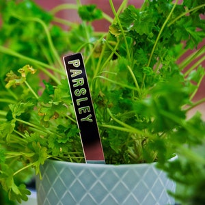 Plant Marker Mirror Acrylic, Herb Garden Marker Stake, Garden Labels, Vegetable Markers, Summer Garden, Staycation, Garden Party Decoration