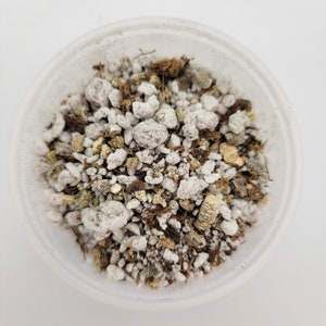 May include: A close-up of a white bowl filled with a mixture of small white, brown, and gold rocks. The rocks are used for growing plants.
