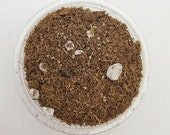 Pinguicula soil mix