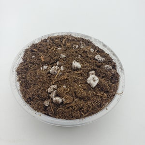May include: A clear plastic bowl filled with brown potting soil and white perlite. The soil is a mixture of dark brown and light brown pieces.