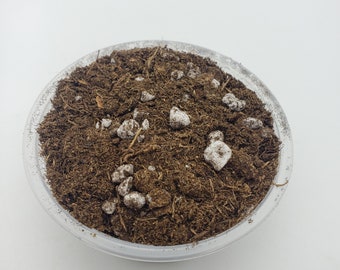 Soil mix for Drosera, Venus flytrap, and Sarracenias