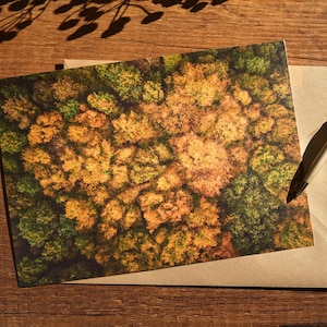 Foresta autunnale dall'alto/finitura perlata/fotografia con drone/cartolina/cartolina/fotografia naturalistica/IJsselbos/Paesi Bassi