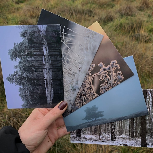 Postcards | winter vibes| nature | snow | frost | postcard set | nature photography | winter | art print | art gift | the Netherlands