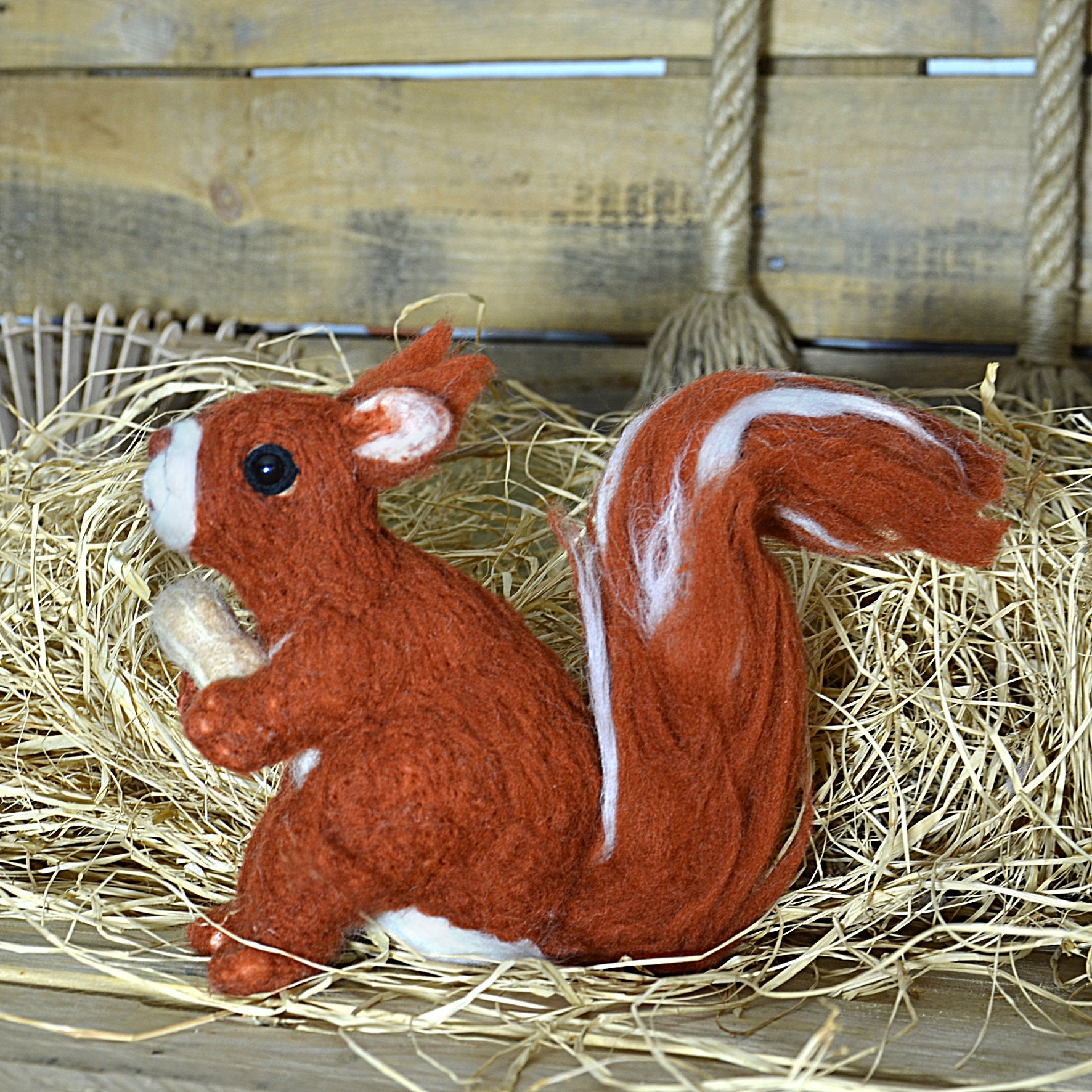 Red Squirrel Needle Felt Kit Realistic Needle Felting Etsy