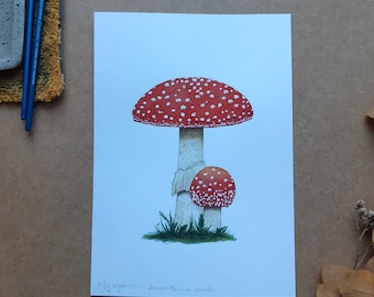 Original-Aquarell-Illustration Fliegenpilz / Fliegenpilz