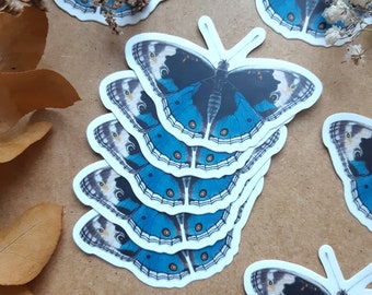 Junonia butterfly sticker