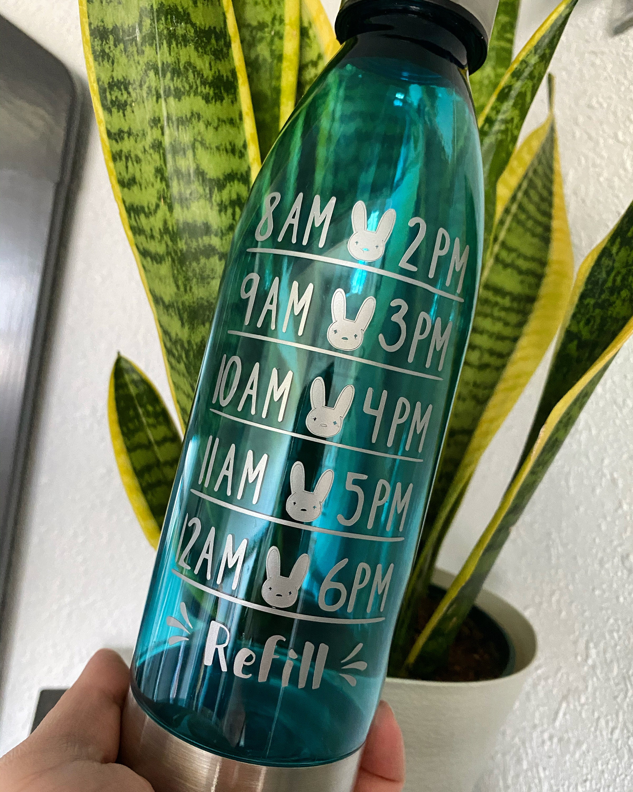 Hourly Water Bottle Bad Bunny Water Bottle Etsy