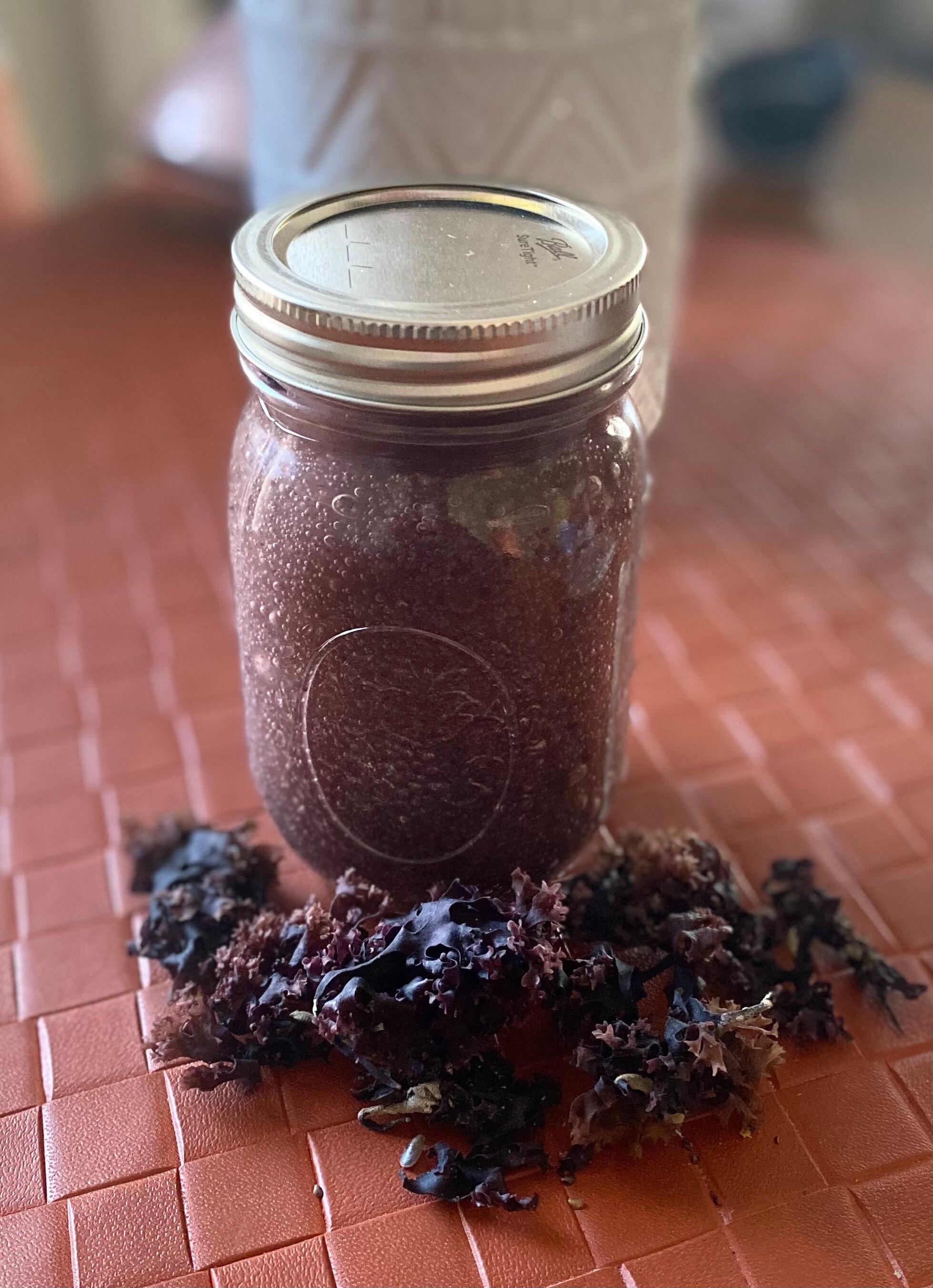 Chondrus Crispus Gel | Mousse de mer : bienfaits, nutrition et comment