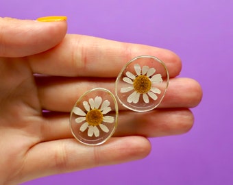 Daisy Stud Earrings, Chunky Stud Earrings, Real Pressed Daisies, Flower Studs, Resin Earrings, Lightweight Stud Earrings, Women&#39;s Earrings