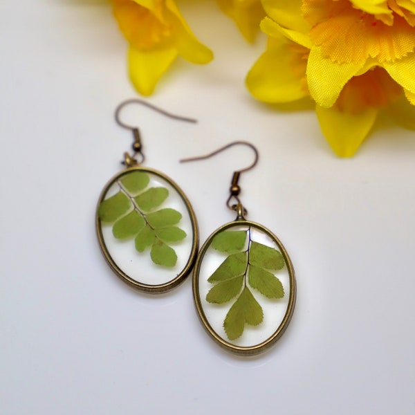 Real Fern Earrings, Bronze Oval Earrings, Real Pressed Flowers, Dangly Fern Earrings, Resin Earrings