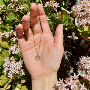 Forget Me Not Necklace, Dainty Circle Frame, Tiny Pendant, Gold Plated Box Chain, Real Pressed Blue Flower, Lightweight, UV Resin Necklace image 3