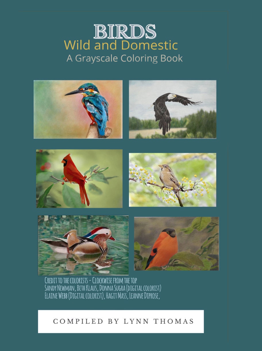 Download Birds A Digital Pdf Grayscale Coloring Book Immediate Etsy