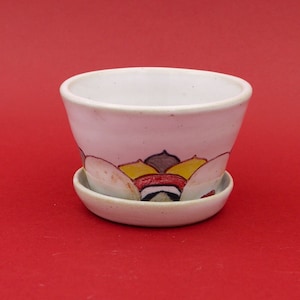 Peut inclure: Un pot en céramique blanche avec un motif floral coloré. Le pot a une soucoupe assortie.