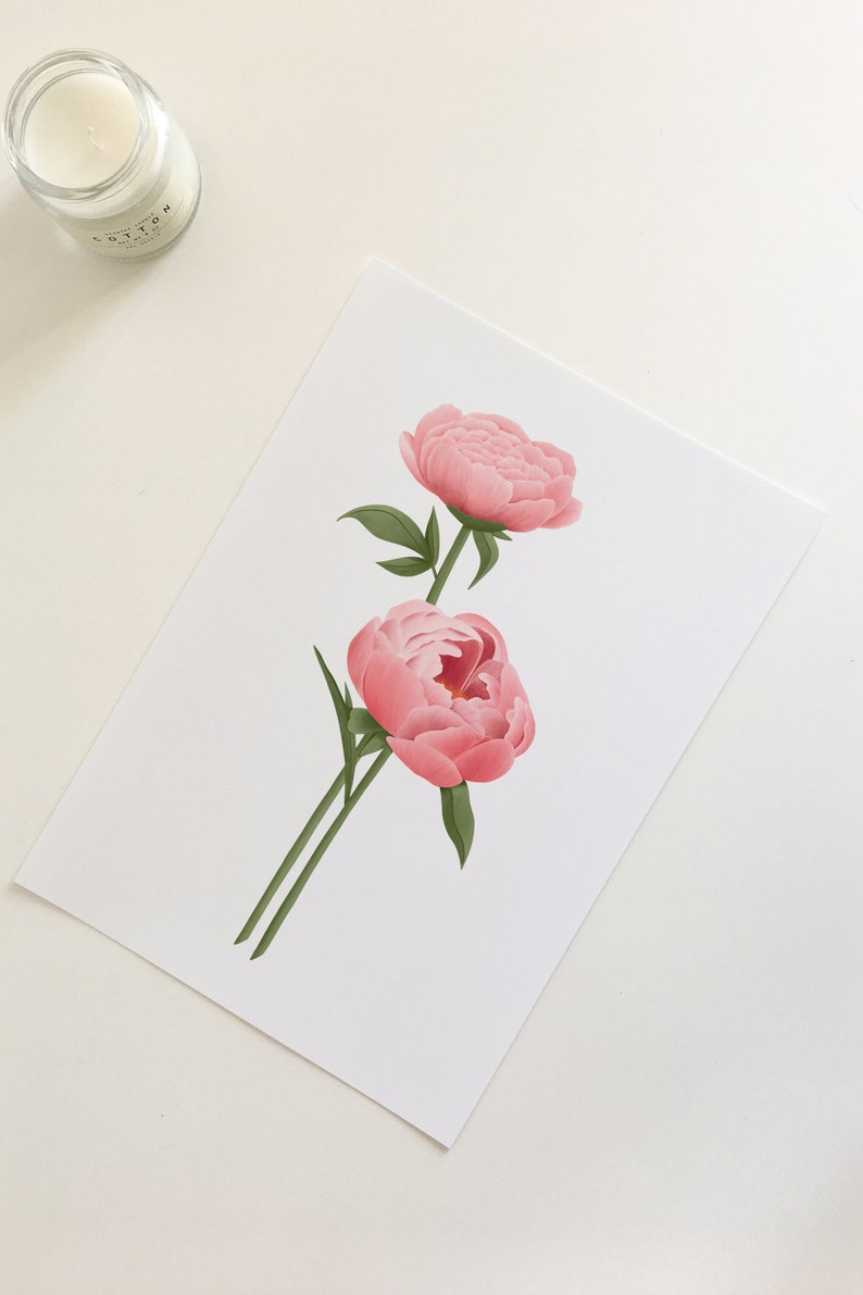 Peony art print. Botanical print.