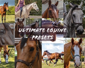 21  Equine, Equestrian Adobe Lightroom Prestes, Horse Photography, Jumping, Hunter, Eventing, English Riding, Dressage, Western, Competition