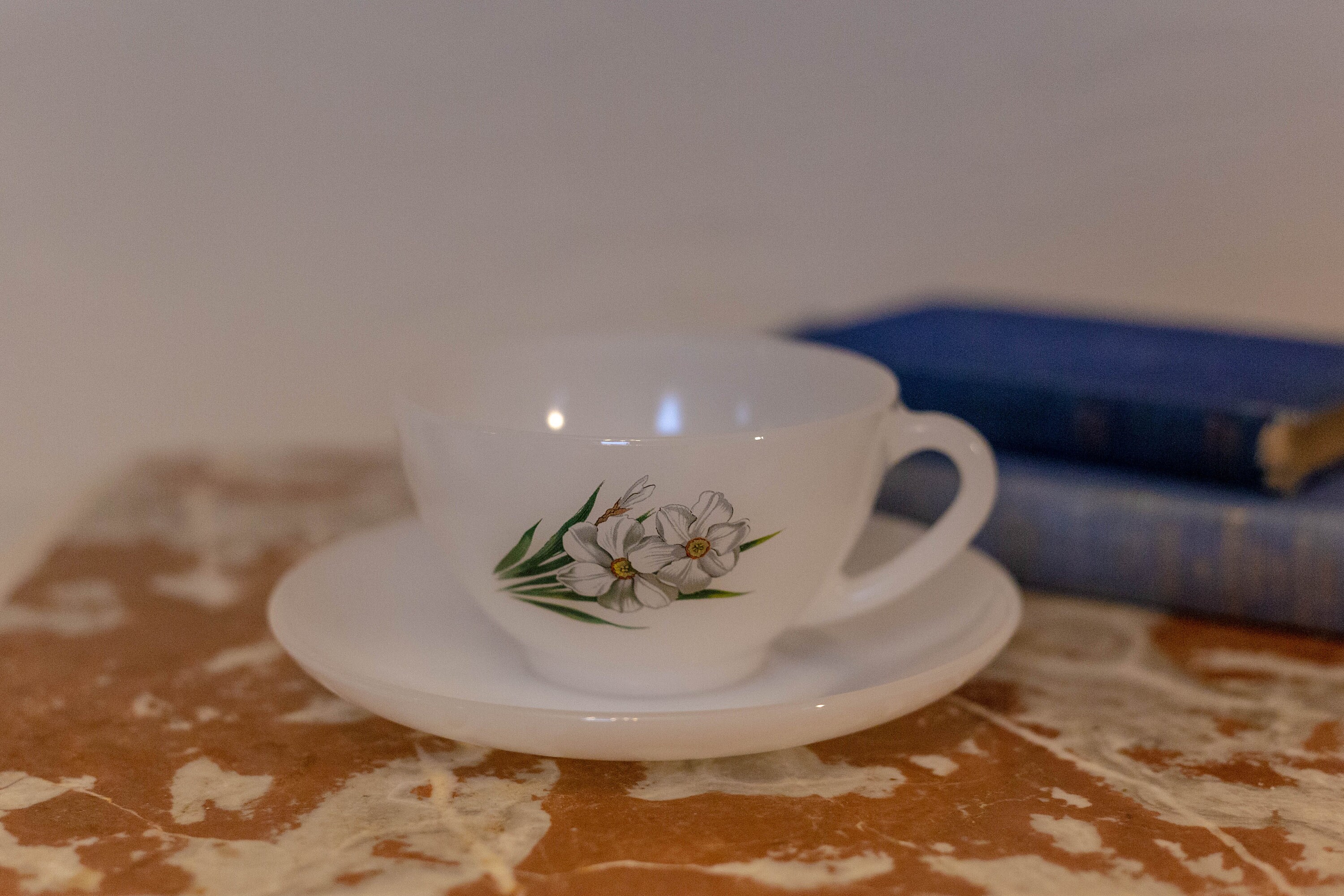 Vintage Années 1960 Grande Tasse Arcopal et Soucoupe avec Décalcomanie Florale