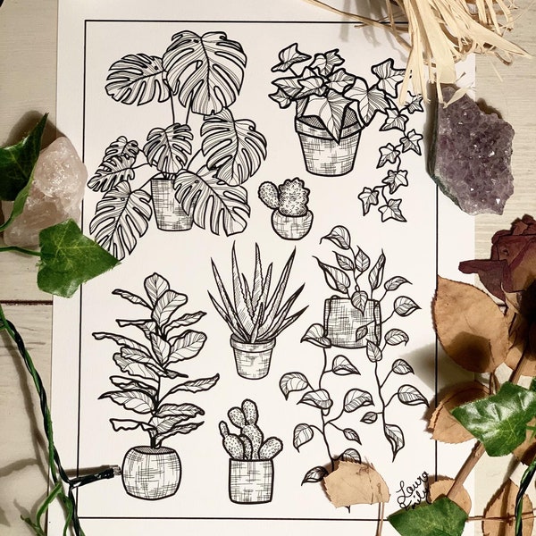 House Plants Etsy UK