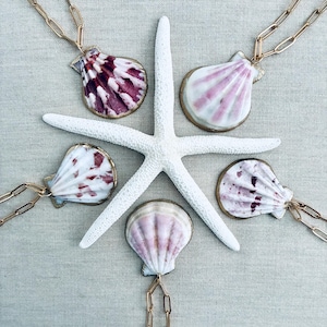Scallop Seashell Necklace on Gold Paperclip Chain | Seashell Jewelry | Beach Lover Jewelry | Mermaid Jewelry