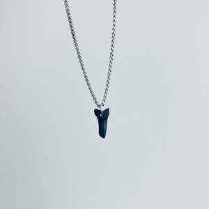 Shark Tooth Necklace | Shark Teeth Necklace | Shark Tooth Fossil | Unisex Shark Tooth Necklace | Beach Lover Necklace