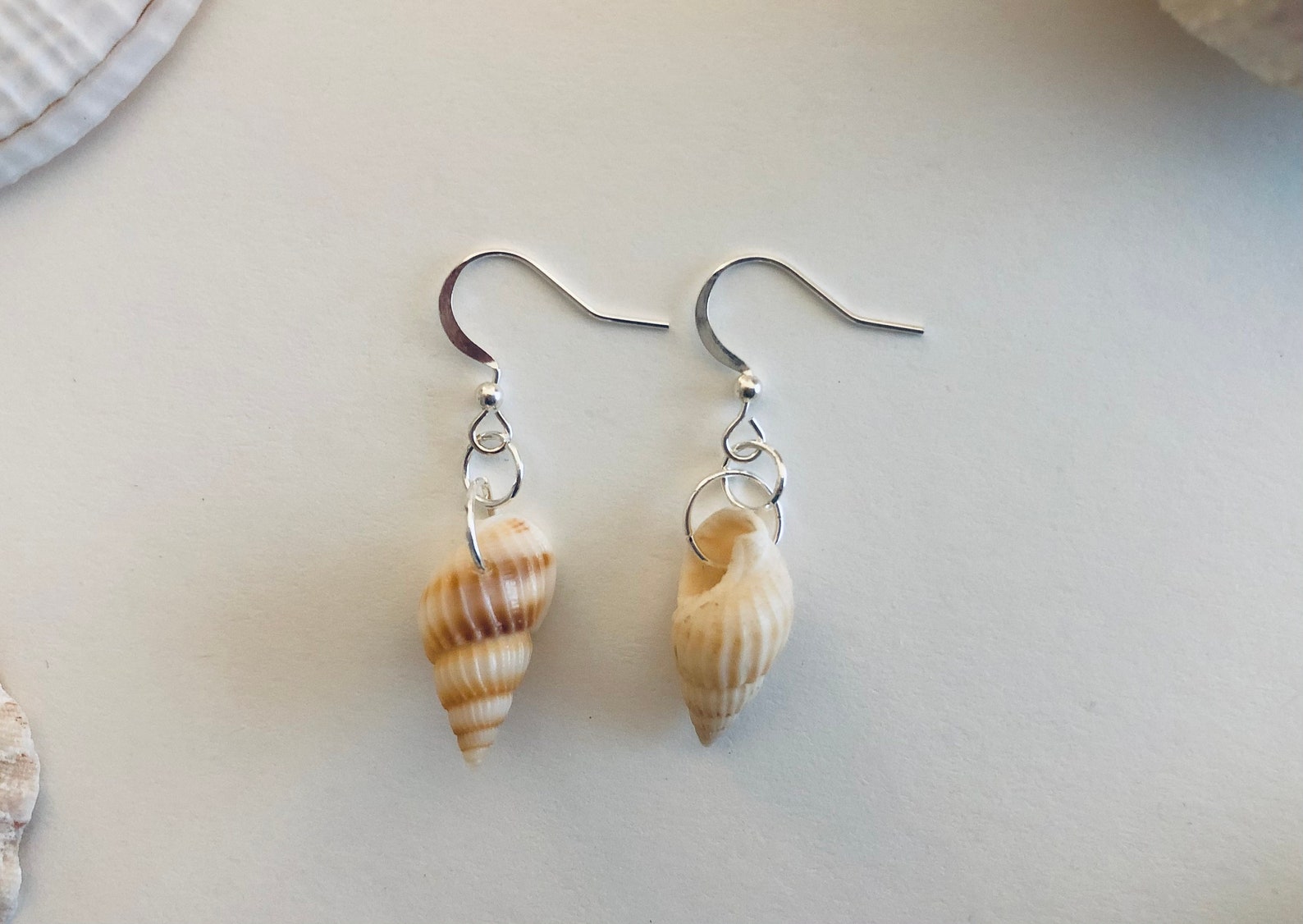 Common Nutmeg Seashell Earrings w Sterling Silver Beach | Etsy
