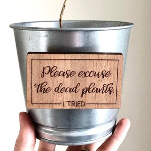 May include: A small potted plant with a wooden sign that reads "Please excuse the dead plants. - I TRIED".