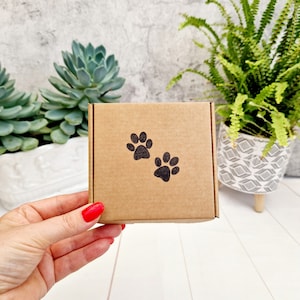 Petite boîte cadeau vide kraft avec impression de patte. Boîte aux lettres Mini bijoux en carton PIP, boîte à savon. Jolie boîte élégante pour les amoureux des animaux pour cadeaux faits main