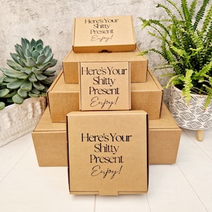 Coffret cadeau kraft vide drôle et humoristique pour fêtes, bureau, anniversaires, Noël, fête des pères et cadeaux de bâillonnement. Mini petite boîte postale en carton moyenne