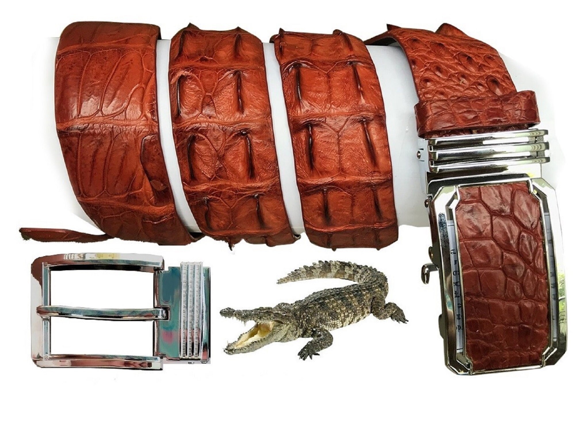 Men Brown Alligator Hornback Belt Handmade Belts Classic | Etsy