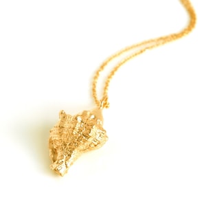 K18 Gold Necklace White Shell - Etsy