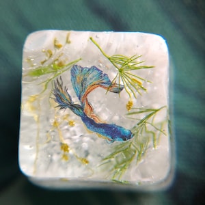 Betta keycap