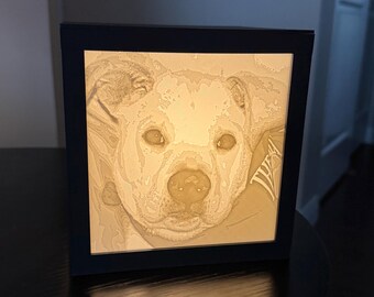 May include: A square, black-framed light-up picture featuring a detailed, illuminated portrait of a dog. The dog's face is the focal point, with its eyes and nose clearly visible. The image is a warm, off-white color.